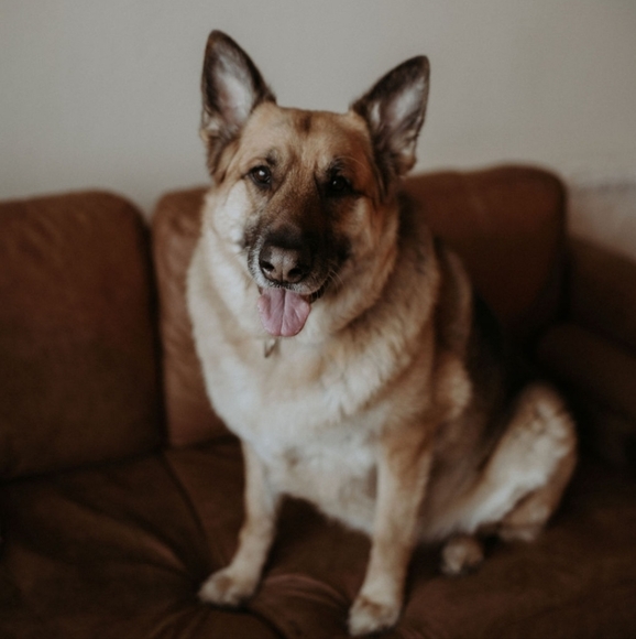 Meet your Posher, Andrea - Picture 8 of 12